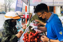 Đoàn khối các Cơ quan và Doanh nghiệp tỉnh: Xung kích, sáng tạo vì cộng đồng