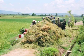 Xã Ia Ma Rơn đạt chuẩn xã nông thôn mới