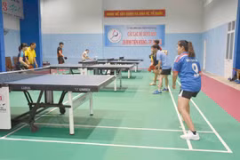 Triển khai cuộc vận động "Toàn dân rèn luyện thân thể theo gương Bác Hồ vĩ đại" giai đoạn 2021-2030