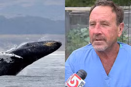 Mỹ: 30 giây kinh hoàng của ngư dân rơi vào miệng cá voi