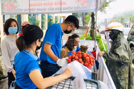 Gia Lai: Đoàn viên, thanh niên bán hàng hỗ trợ nông dân Bắc Giang tiêu thụ nông sản