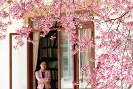 Đà Lạt, từ ô cửa biệt thự