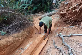 Xác định các nhóm đối tượng phá rừng tại xã Hà Ra