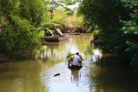 Về quê tránh dịch Covid-19: Người trẻ chụp ảnh miền quê đầy thương nhớ