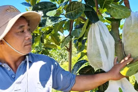 Từ hộ nghèo thành triệu phú