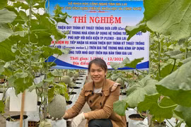 Trồng dưa lưới ứng dụng công nghệ cao: Nhiều triển vọng
