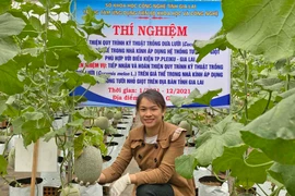 Trồng dưa lưới ứng dụng công nghệ cao: Nhiều triển vọng
