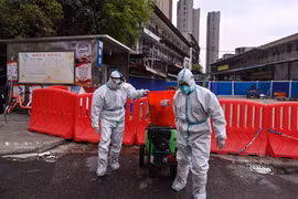 Khôi phục chuỗi gien gây Covid-19 bí mật bị xóa ở Vũ Hán