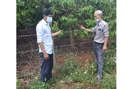 Chư Sê phát huy vai trò người cao tuổi