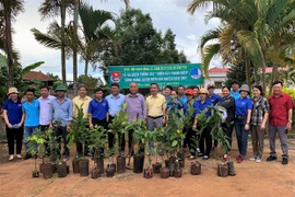 Cao su Chư Păh triển khai công trình "Vườn cây thanh niên"