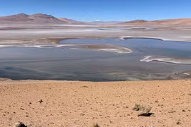 Phân tích kinh ngạc về khả năng sự sống bắt nguồn từ sao Hỏa