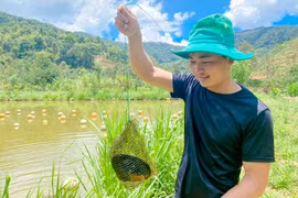 Lâm Đồng: Trai đẹp thôn Âm Phủ nuôi con không biết chạy, hàng năm nhả ngọc quý mà thu hàng trăm triệu đồng