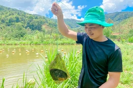 Lâm Đồng: Trai đẹp thôn Âm Phủ nuôi con không biết chạy, hàng năm nhả ngọc quý mà thu hàng trăm triệu đồng