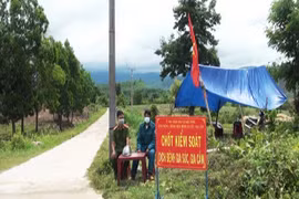 Kông Chro công bố dịch viêm da nổi cục trên trâu, bò tại 2 xã Đak Tơ Pang và Đak Song