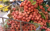 Đừng quên "sân nhà"!