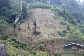 Đề nghị rà soát chuyển đổi đất trồng lúa, đất rừng phòng hộ làm dự án