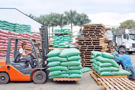 Nâng cao chất lượng cà phê xuất khẩu