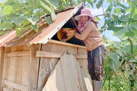 Kho thóc tình thương: "Bà đỡ" lúc giáp hạt