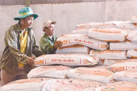 Giá phân bón lập đỉnh mới: Nông dân chuyển hướng hữu cơ