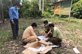 Tạm giữ 350 bao thuốc lá và 1 cá thể động vật sống