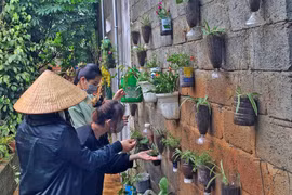 Phụ nữ chung tay phục hồi hệ sinh thái