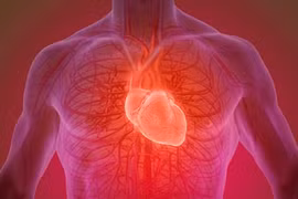 Phát hiện cách tập thể dục 15 phút/ngày cũng đủ tăng sức mạnh tim