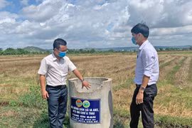 Phú Thiện chú trọng vệ sinh đồng ruộng