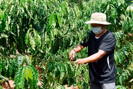 Chuyện thoát nghèo ở làng Tuêk