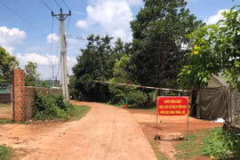 Đak Đoa công bố dịch viêm da nổi cục trên trâu, bò tại xã Đak Sơ Mei