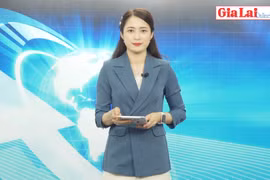 Gia Lai 48h: Quyết liệt phòng-chống bệnh viêm da nổi cục