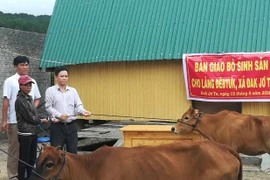 Mang Yang hỗ trợ nông dân phát triển sản xuất