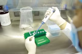 2 ca tử vong liên quan đến COVID-19: Bệnh nhân cao tuổi, có bệnh nền