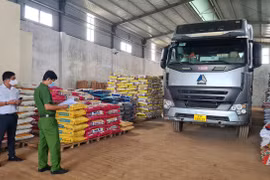 Pleiku: Xử phạt lái xe "luồng xanh" đi sai tuyến