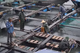 Bão, áp thấp nhiệt đới dồn dập trên Biển Đông