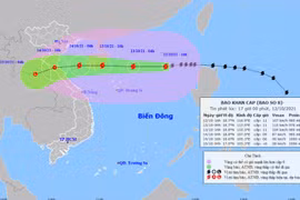 Triển khai kịp thời, hiệu quả, ứng phó bão số 8 và mưa lũ sau bão