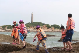 TP. Hồ Chí Minh cùng các tỉnh mở tour liên vùng, đưa người dân đi du lịch từ tháng 11