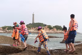 TP. Hồ Chí Minh cùng các tỉnh mở tour liên vùng, đưa người dân đi du lịch từ tháng 11