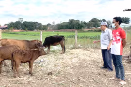 Ngân hàng sinh kế: Đòn bẩy để thoát nghèo