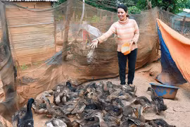 Phụ nữ Chư Sê hướng hoạt động về cơ sở