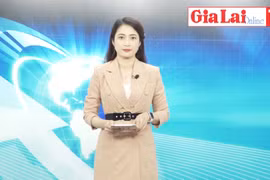 Gia Lai 48h: Tháo gỡ vướng mắc để hỗ trợ người lao động gặp khó khăn