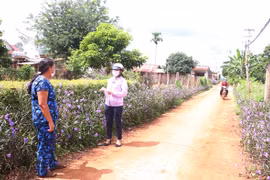 Võ Thị Toan: "Miệng nói, tay làm"