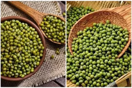 Lợi ích khi tiêu thụ thực phẩm họ đậu mỗi ngày