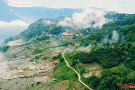 Diễn viên 'Cha cõng con' làm kênh YouTube khám phá vẻ đẹp Việt Nam