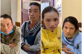 Gia Lai: Phát hiện nhóm công nhân trộm 132 buồng chuối