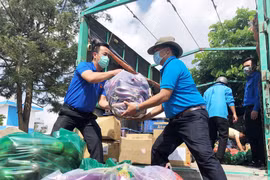 Người trẻ dấn thân cống hiến cho đất nước