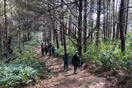 Rà soát, quy hoạch để phát triển rừng bền vững - Kỳ 1: Giải quyết bất cập trong công tác quản lý