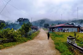 Giữa mênh mông đại ngàn