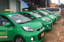 Taxi trên địa bàn TP. Buôn Ma Thuột được hoạt động 100% phương tiện