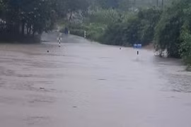 4 tỉnh cấm biển, Thanh Hóa đến Quảng Ngãi sơ tán 284.054 người dân