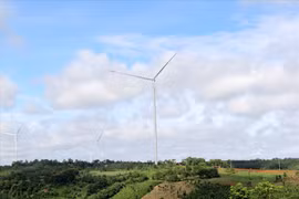 Đắk Nông tiến hành bồi thường trong phạm vi 300m tại các trụ điện gió